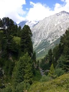 a view of a mountain valley with trees at Ferienwohnung 6 Bergblick in Sankt Gilgen