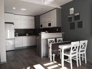 Kuchyňa alebo kuchynka v ubytovaní Golden Mazury Apartament