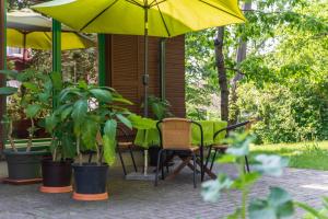 パランガにあるVila PRI Rouzesの黄色のパラソル、椅子、植物のあるパティオ