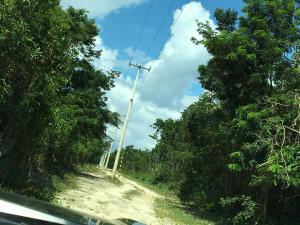 a road with trees and a telephone pole on it at Casa Hacienda San Gabriel in Cozumel