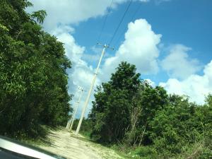 uma vista para uma estrada com postes e árvores em Casa Hacienda San Gabriel em Cozumel