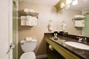 uma casa de banho com um lavatório, um WC e um espelho. em Hotel St. Marie em Nova Orleans