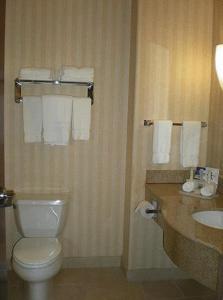Et badeværelse på Holiday Inn Express Delano Highway 99, an IHG Hotel