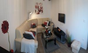 uma sala de estar com um sofá e uma televisão em Holiday Home Dioniza em Vodnjan