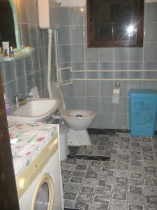 Vannituba majutusasutuses Guesthouse Tomasevic
