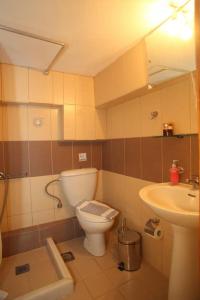 een badkamer met een toilet en een wastafel bij Aggelina in Nydri