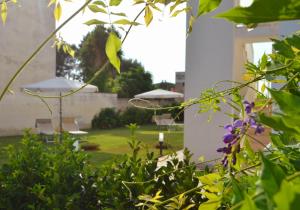 Zahrada ubytování Casa La Strea - Vivi Salento