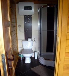 a small bathroom with a toilet and a shower at Domki LaPlata na Kaszubach in Wiele