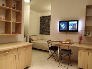 TV a/nebo společenská místnost v ubytování Šibenik Gorica Studio apartman 5XL