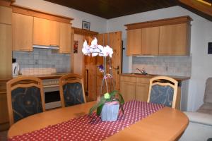 Köök või kööginurk majutusasutuses Apartment Krobath