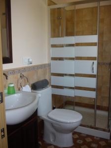 y baño con aseo, lavabo y ducha. en Casa El Campo Mateo, en Peruyes