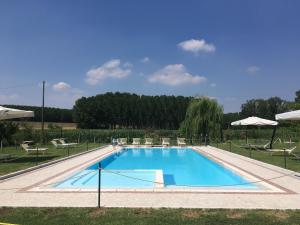 The swimming pool at or close to Agriturismo La Cascinetta