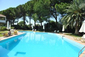 une grande piscine bleue avec des chaises et des palmiers dans l'établissement Niki Hotel Apartments, à Ialyssos