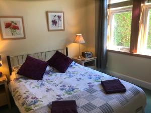 インバネスにあるReay Street Apartmentのベッドルーム1室(紫色の枕が付くベッド1台、窓2つ付)
