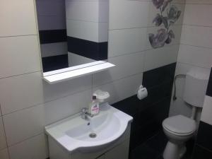 a bathroom with a sink and a toilet and a mirror at Flory`s Apartment Mamaia in Mamaia +18 photos