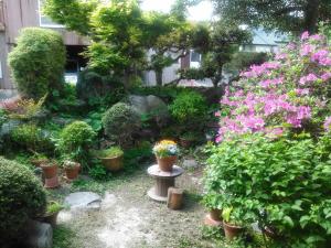 Vrt pred nastanitvijo 昭和の宿 汐凪 shionagi