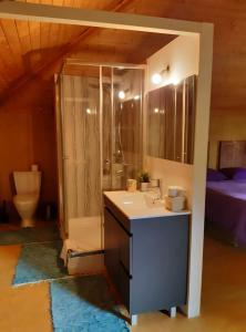 a bathroom with a sink and a shower and a toilet at Casa Magnólia in Braga