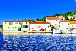 a group of houses next to a body of water at Apartments Marko Rava in Rava