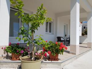 Vonkajšia záhrada v ubytovaní Apartments Tri Mora