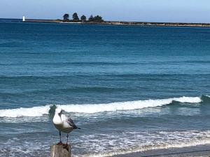 a bird sitting on a post on the beach at Coach House in Port Fairy