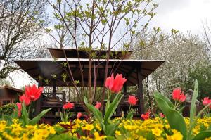 Zahrada ubytování B&B Latemberg