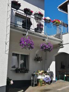 Hillscheid的住宿－Ferienwohnung-Kiefer，阳台上种着盆花的建筑