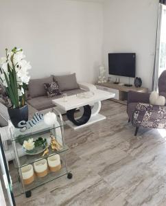 TV a/nebo společenská místnost v ubytování Apartments Merin