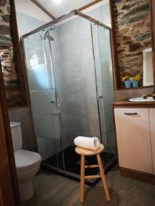 a bathroom with a shower with a stool and a toilet at Las Casitas de Requeixo in Requeixo