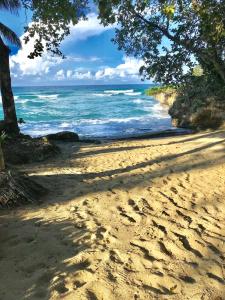 a sandy beach with trees and the ocean at Amazing ocean views with many extras perks to enjoy in Cabarete