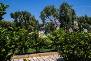 Zahrada ubytování Hotel Eden