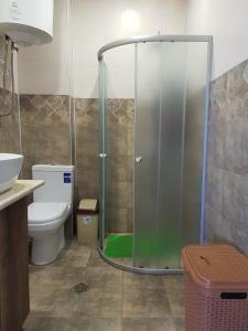 La salle de bains est pourvue d'une douche, de toilettes et d'un lavabo. dans l'établissement Жемчужина Уреки, à Ureki