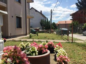 Giardino di Niš Apartman