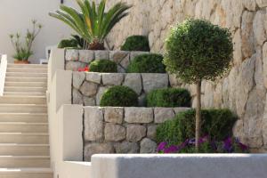 una pared de piedra con plantas en un jardín en Apartments Lianto, en Drasnice