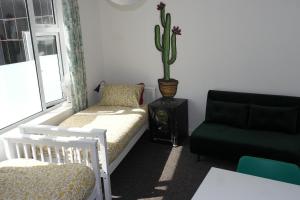 a room with a couch and a chair and a cactus at Igloo Hybrid in Nottingham