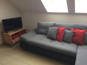 TV a/nebo společenská místnost v ubytování Ferienwohnung Frieser