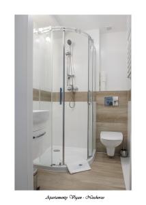 a bathroom with a shower and a toilet at Vigan Apartamenty in Niechorze