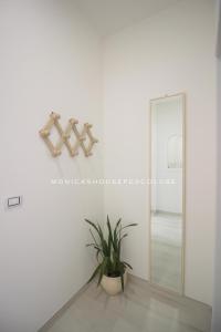 a mirror in a white room with a plant at Home Holiday Salento Monica's House Pescoluse in Marina di Pescoluse