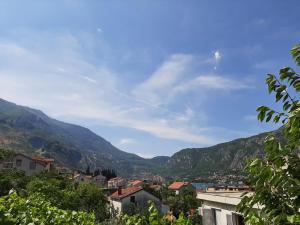 a view of a town with mountains in the background at Apartments Dakovic in Kotor