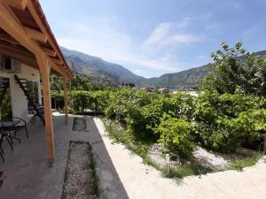 a patio with a view of a bunch of plants at Apartments Dakovic in Kotor