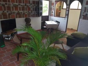 a living room with a table and a plant at La DEPENDANCE CREOLE in Fort-de-France