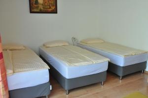 Postel nebo postele na pokoji v ubytování Dom Gościnny Soluch