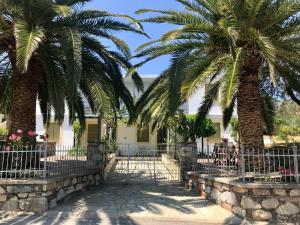 two palm trees in front of a building at Pansion Episkopi Studios in Skopelos Town