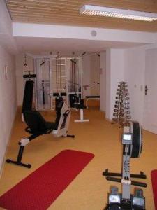 The fitness centre and/or fitness facilities at Hotel Seehof Leipzig