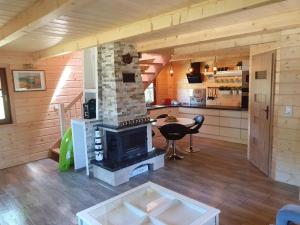 a living room with a fireplace in a cabin at Sowia chatka in Bożkowice +17 photos