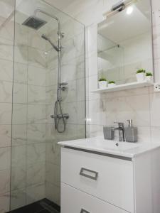 Kúpeľňa v ubytovaní Apartment Stojan A1