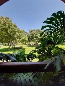 Afbeelding uit fotogalerij van The Wooden Rose Cabins in Beẕet +32 foto's