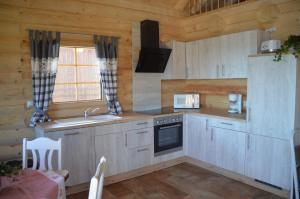 a kitchen with a sink and a stove at Schwalli's Ferienhaus Am Wipperberg in Korbach