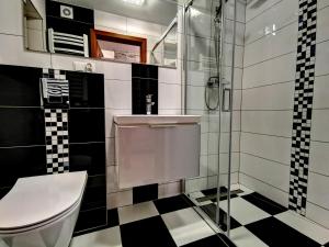 a black and white bathroom with a toilet and a shower at Domki Skalnica in Poronin