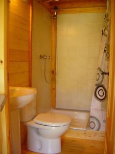 y baño con aseo, ducha y lavamanos. en Camping Vall de Ribes en Ribes de Freser