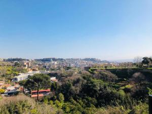 a view of a city with a bridge and trees at La Casa nel Parco in Naples